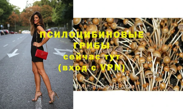 соль ск Волосово