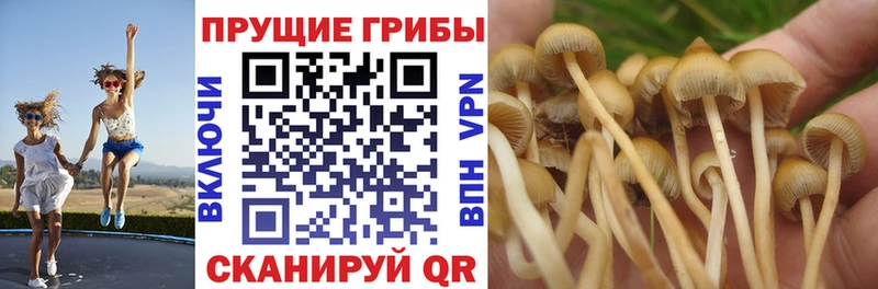 Галлюциногенные грибы ЛСД Купить Барабинск